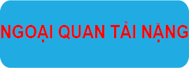 Ngoại quan tải nặng