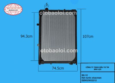 Két nước shacman-DZ96259532030
