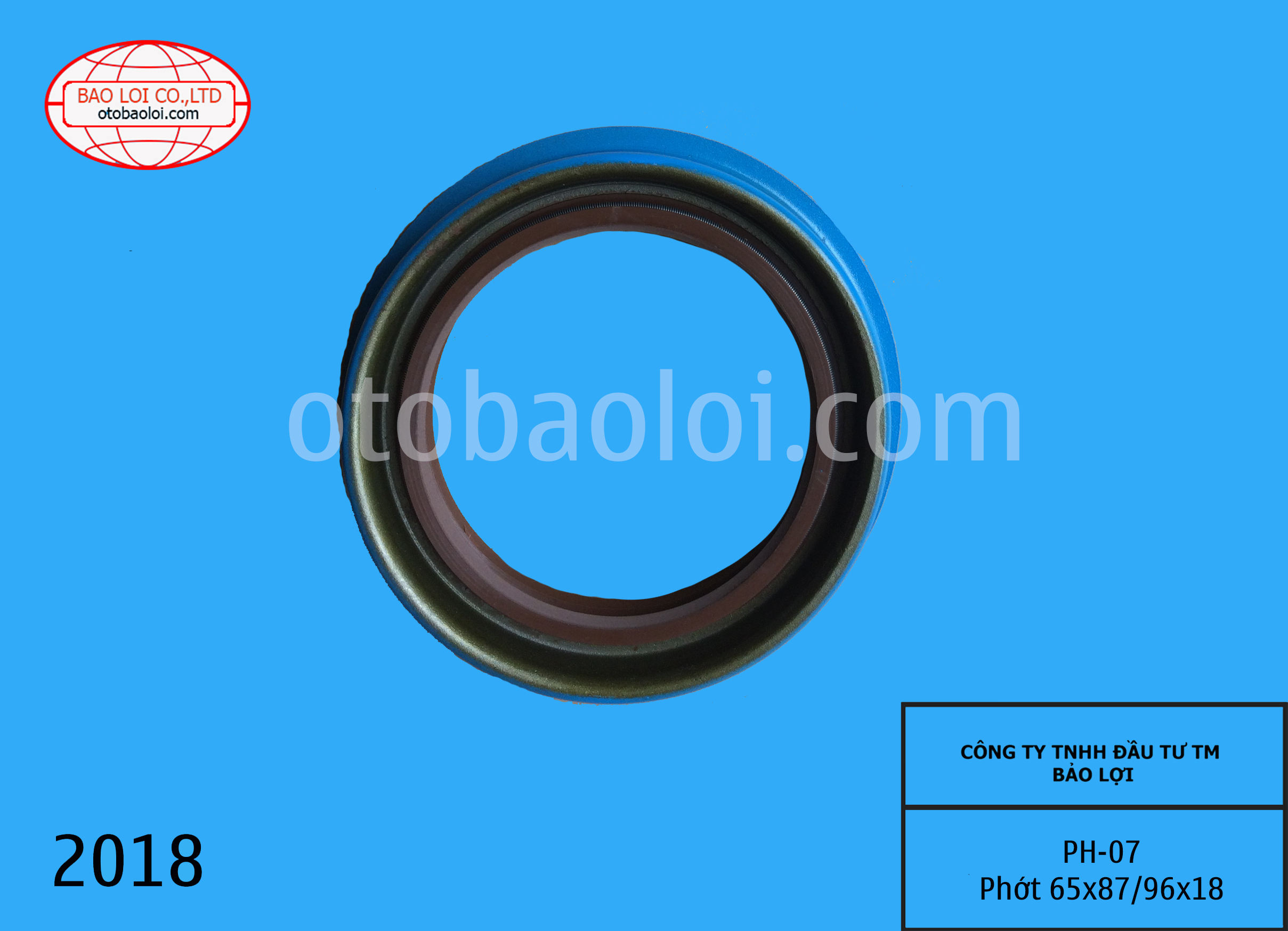 Phớt 65x87/96x18