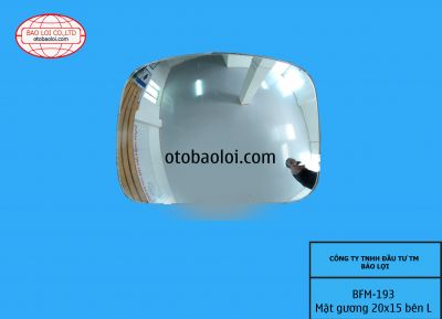Mặt gương 20x15 bên L (gương đầu xe Cacadia)