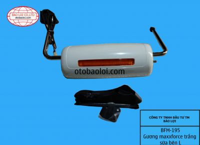 Gương maxxforce nhua den xinhan be bên L